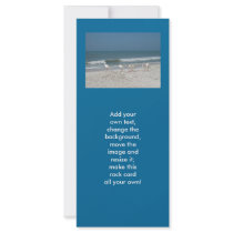 Beach Ibis Rack Card