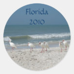 Beach Ibis Stickers