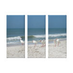 Beach Ibis Stretched Canvas Print