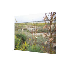 Beach in Autumn Stretched Canvas Prints
