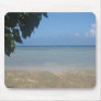 Beach in Fiji mousepad