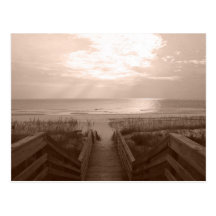 Beach in Florida Post Cards