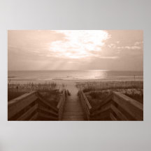 Beach in Florida Posters
