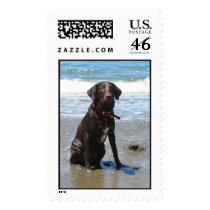 Beach Jake Stamps by mdgordon Beach Jake Stamps