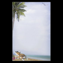 Beach Kitty stationery