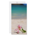 Beach Lily Photo Card Template