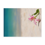 Beach Lily Postcard