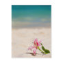 Beach Lily Postcards