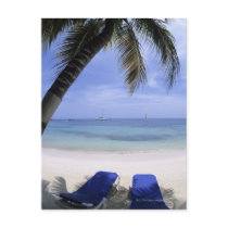 Beach, Lounge Chair, Palm tree, Horizon Over Post Cards