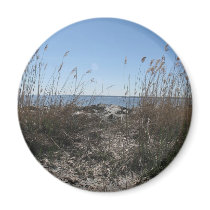 Beach Magnets