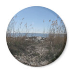 Beach Magnets