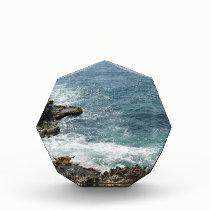 Beach Meets Ocean awards