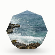 Beach Meets Ocean awards