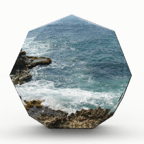 Beach Meets Ocean awards