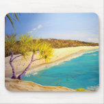 Beach Mouse pad