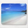 Beach Mouse Mats