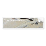 Beach Near Ocean Beach Bumper Sticker