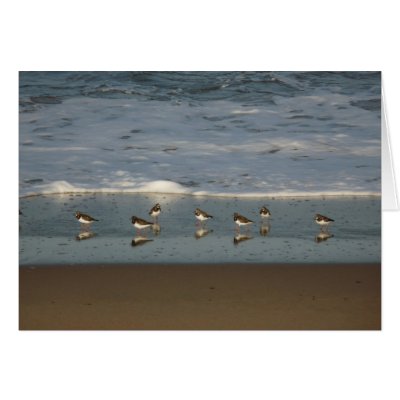 "Beach of Howdiemont Sands" Cards by MaryMcandrew