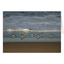 "Beach of Howdiemont Sands" Cards