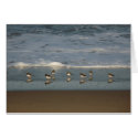 "Beach of Howdiemont Sands" cards