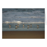 "Beach of Howdiemont Sands" Cards