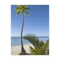 Beach on mainland Aitutaki, Cook Islands