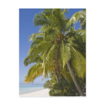 Beach on One Foot island, Aitutaki, Cook Islands
