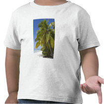 Beach on One Foot island, Aitutaki, Cook Islands Shirts