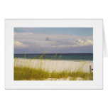 beach on the Gulf of Mexico 2 card