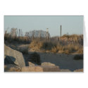 Beach Path cards