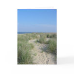 Beach,  Path to Ocean