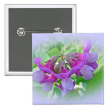 Beach Pea - Lathyrus japonicus - Wildflower Pinback Buttons