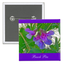 Beach Pea (Lathyrus maritimus) Coordinating Items Pin