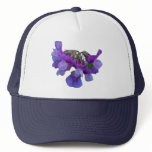 Beach Pea (Lathyrus maritimus) Coordinating Items hats