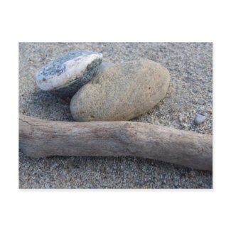 Beach Pebbles and Wood Postcard postcard