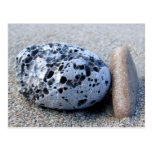 Beach Pebbles Postcard