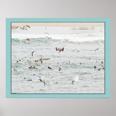 Beach Pelicans Print by farmer77