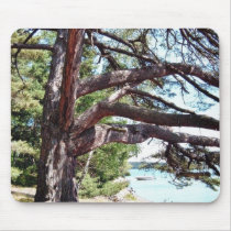 Beach Pine mousepads