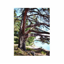 Beach Pine photo sculptures