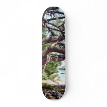 Beach Pine skateboards