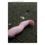 Beach pollution broken doll leg on sand cards