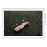Beach pollution broken doll leg on sand cards