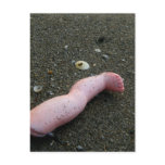 Beach pollution broken doll leg on sand postcards