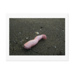 Beach pollution broken doll leg on sand post card