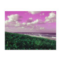 beach post card postcards by dereklovessheila beach post card postcards
