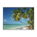 BEACH postcards