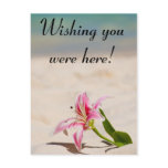 Beach Postcard