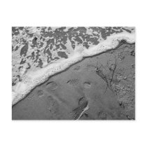 beach postcards by clownagama beach postcards