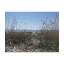 Beach Postcards
