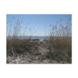 Beach Postcards